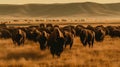 A massive herd of wild bison roaming across a yellow dry grassy landscape created with Generative AI