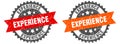 experience band sign. experience grunge stamp set Royalty Free Stock Photo
