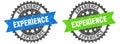 experience band sign. experience grunge stamp set Royalty Free Stock Photo