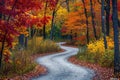 Experience the beauty of autumn as you drive along a picturesque winding road surrounded by vibrant trees, A curvy path through Royalty Free Stock Photo