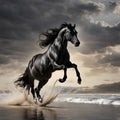 Black horse galloping in the sea at sunset. 3d rendering Royalty Free Stock Photo