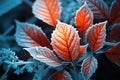 Frosty Foliage: A Winter Wonderland Wallpaper to Brighten Your Screen