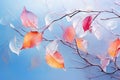 Frozen Beauty: A Stunning Snapshot of Frosty Leaves on a Blue Background