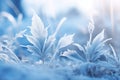 Mesmerizing Blue Leaves in a Winter Wonderland: A Stunning Frosty Background Royalty Free Stock Photo