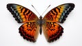 Vibrant Butterfly: Stunning Isolation, Colorful Patterns on White Background. Royalty Free Stock Photo