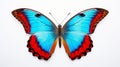 Vibrant Butterfly: Stunning Isolation, Colorful Patterns on White Background. Royalty Free Stock Photo