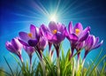 Vibrant Violet Crocus Blossoms Against a Stunning Blue Spring Background A Photorealistic AIGenerated Floral Image Royalty Free Stock Photo
