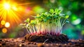 Witness the Astonishing Growth of Microgreens A TimeLapse Journey Through Natures Bounty Highlighting the Nutritional Royalty Free Stock Photo
