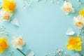 Top view image features narcissus accompanied by confetti and gypsophila on a serene pastel blue setting