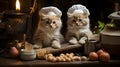 two persian kittens in a chef\'s hat on a dark background Ai generated Royalty Free Stock Photo