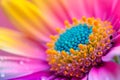 Experience a creative abstract backdrop with a macro close-up capturing the vibrancy of a colorful flower