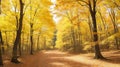 Fall. Fall forest. Forest landscape. Autumn nature. Royalty Free Stock Photo