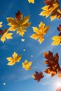 Whimsical Autumn Leaves Flying Across the Blue Sky