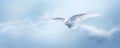 Majestic Snowy Owl Flight in Cinematic Winter Panorama Royalty Free Stock Photo