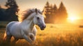 Graceful Unicorn in Golden Light Royalty Free Stock Photo