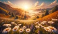 Vast field of daisies illuminated by warm sunlight. Flowers Background