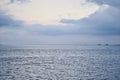 Summer Serenity: Calm Sea & Pristine Beach Under Clear Blue Sky