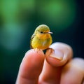 Microcosmic Harmony: Generative AI Captures Delicate Bird Perched on Finger