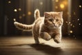 Playful Run: Charming Orange Kitty after a Ball Royalty Free Stock Photo