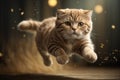 Playful Run: Charming Orange Kitty after a Ball Royalty Free Stock Photo