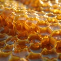 Rich honey abundance.