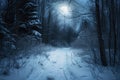 Experience the magical tranquility of a snowy path winding through a dark forest on a peaceful evening, A moonlit path through a