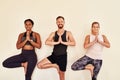 Experience the now with yoga. a group of young men and women practicing the tree pose during a yoga session. Royalty Free Stock Photo