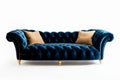 Glamorous Comfort: Velvet Tufted Sofa with Gold Trim on White Background