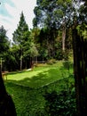 Playing field for those who like volleyball, playing in the middle of the forest.