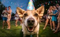 Canine Celebration: Dog in Birthday Party Hat\