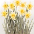 Golden Sunrise - Watercolor Daffodils
