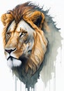Majestic Resilience: A Captivating Watercolor Portrait of an Adult Male Lion