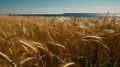 A gentle breeze rustling through a field of wheat undulating in beautiful waves against the blue sky created with Generative AI