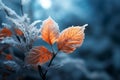 Frosty Foliage Wonderland: A Stunning Winter Wallpaper to Brighten Your Screen