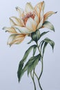 Serenity in Bloom: Exquisite Watercolor Lily