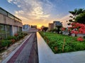 Escape to Serenity: Discovering the Beauty of Rooftop Gardens.