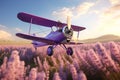 Experience the serenity of a vintage biplane