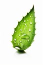 Nature\'s Healing Touch: A Drop of Aloe Vera Gel with Sliced Aloe Vera (AI Generated)
