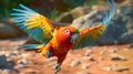 Parrot Running In Ultra Hd Cinematic Canon Eos R3 Footage Royalty Free Stock Photo