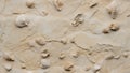 Seashell Symphony: Fossilized Limestone Canvas. AI generate