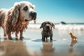 astal Canine Adventures: Surfing Dogs and Seals in Stunning Bokeh Cinematics