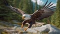 Eagle Running In Ultra Hd Cinematic Quality With Canon Eos R3