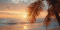 Palm tree, sea, beach, orange sunset Royalty Free Stock Photo