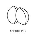 Experience the versatility and nutritional benefits, Apricot kernels icon in vector format. A sleek line representation