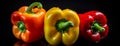 Three Worlds Collide: The Vivid Tale of Trio-Colored Peppers