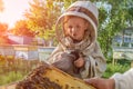 Experienced beekeeper grandfather teaches his grandson caring for bees. Apiculture. The concept of transfer of Royalty Free Stock Photo