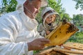 Experienced beekeeper grandfather teaches his grandson caring for bees. Apiculture. The concept of transfer of Royalty Free Stock Photo