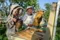 Experienced beekeeper grandfather teaches his grandson caring for bees. Apiculture. The concept of transfer of Royalty Free Stock Photo