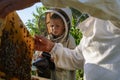 Experienced beekeeper grandfather teaches his grandson caring for bees. Apiculture. The concept of transfer of Royalty Free Stock Photo