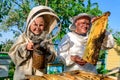 Experienced beekeeper grandfather teaches his grandson caring for bees. Apiculture. The concept of transfer of Royalty Free Stock Photo